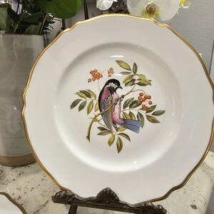 Spode Audubon Bird Dinner Plates Copeland Hand Painted Bone China England Set 4